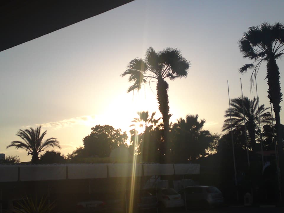 Schön Hotel Nesrine