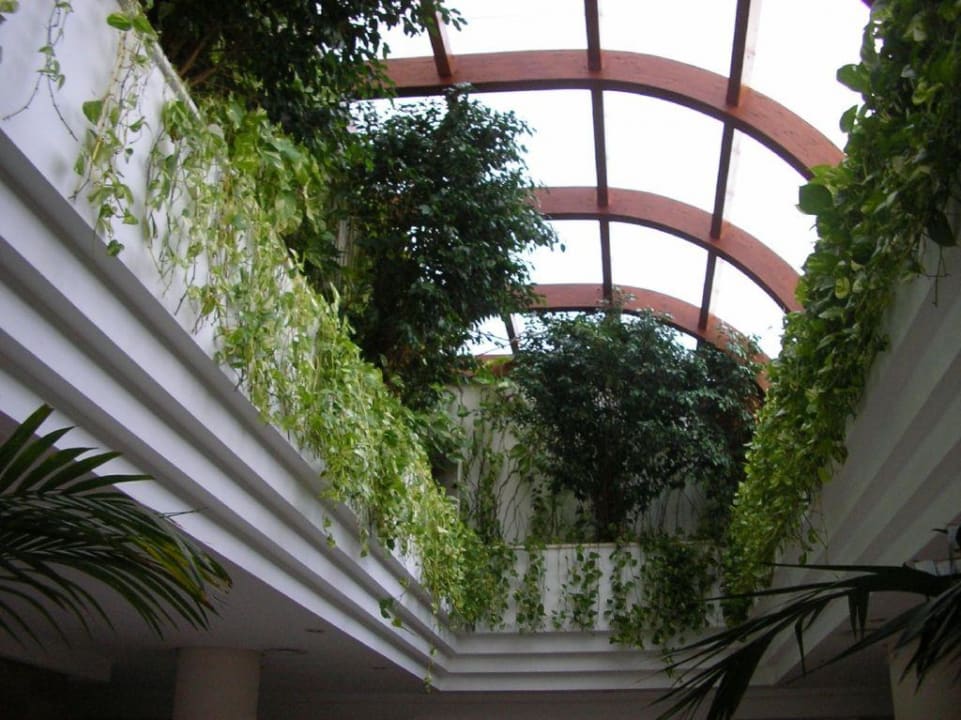Pflanzendach Welikehotel Marfil Playa