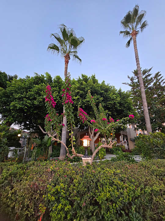 Gartenanlage Nerton Hotel - Erwachsenenhotel ab 16 Jahren