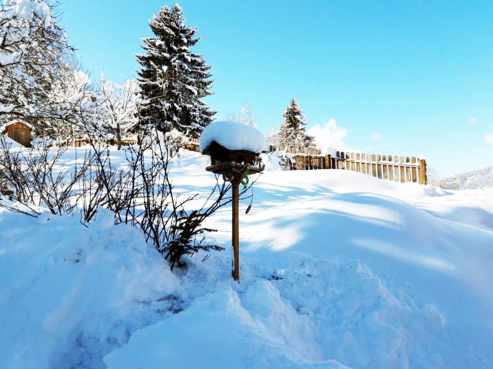 Gartenanlage Haus Alpenblick