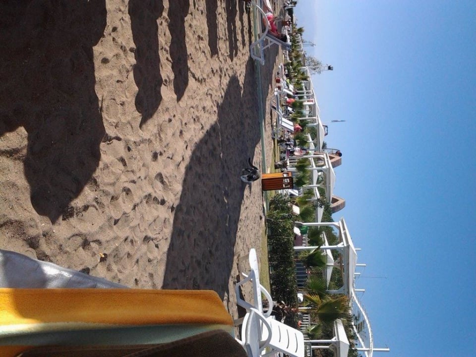 Katzen verunreinigen den Strand 1 Hotel Delphin Imperial