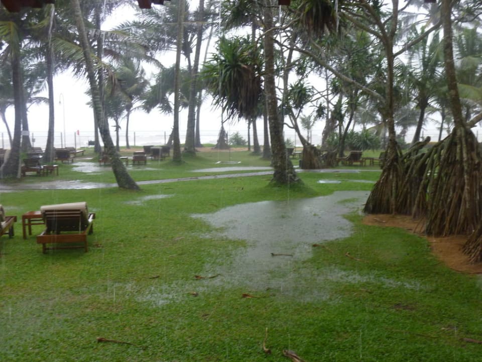 Sri Lanka im Regen Mermaid Hotel & Club