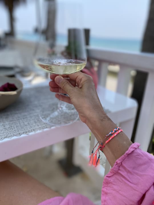 Gastro Acanthus Cennet Barut Collection