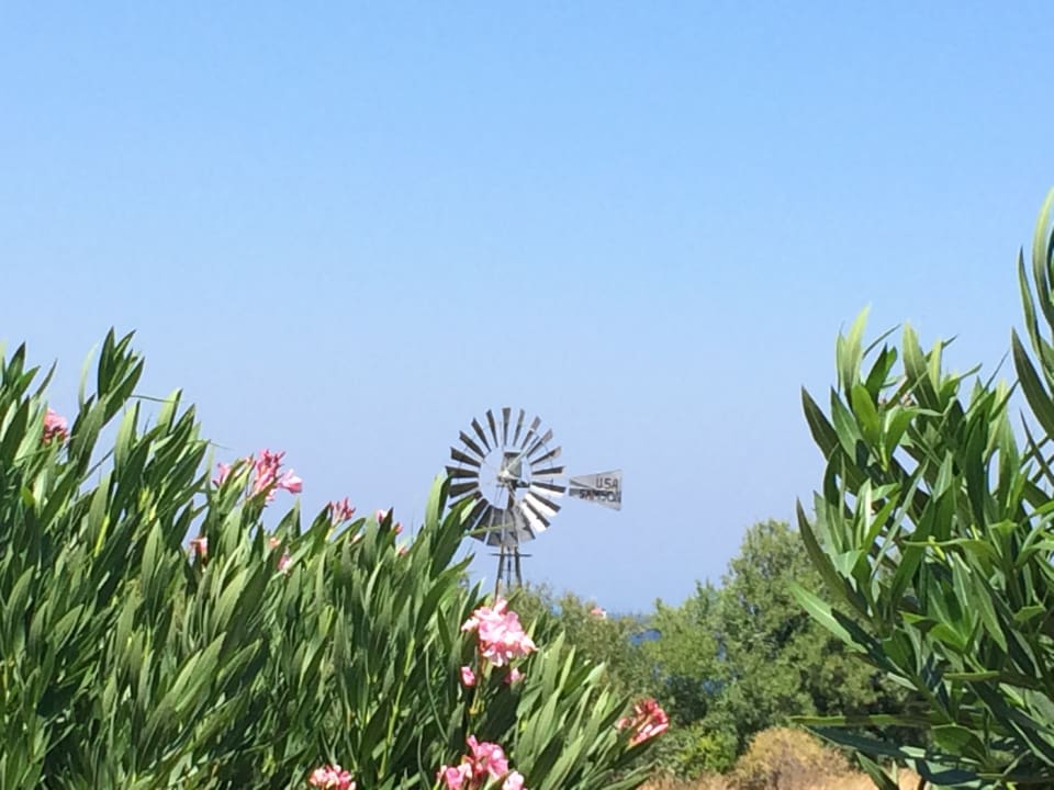 Ausblick Kresten Palace Hotel