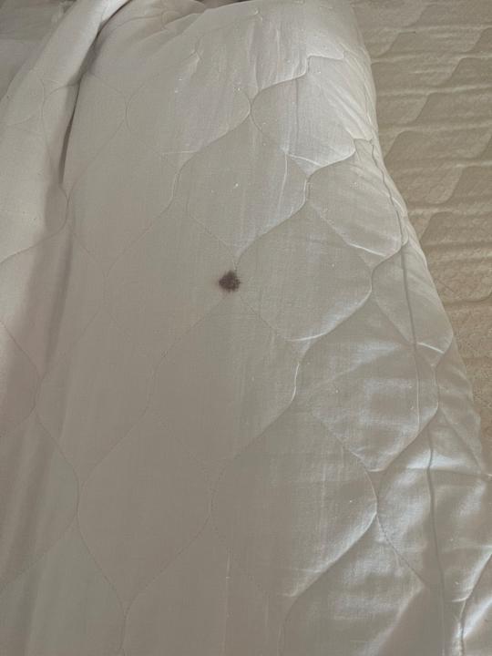 Zimmer Kihaa Maldives