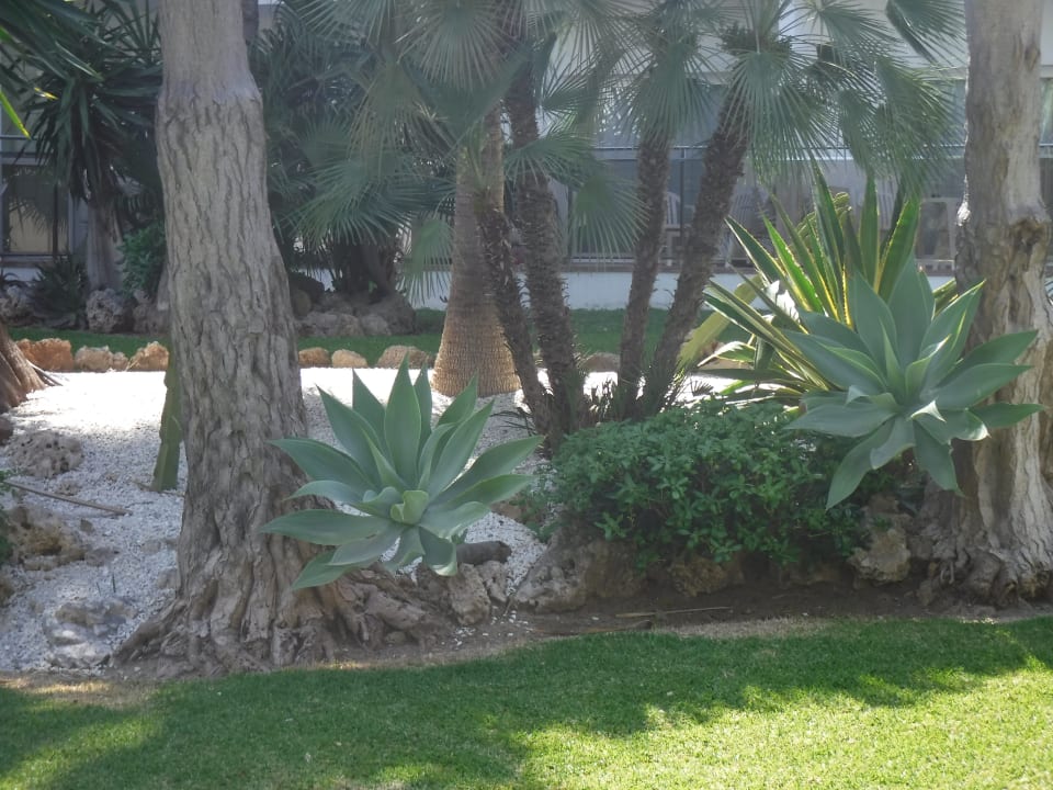 Gartenanlage Hotel Best Siroco