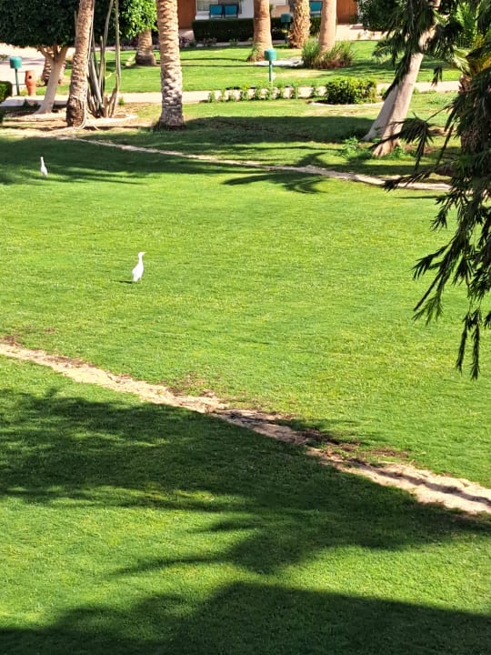 Ausblick Shams Safaga Resort