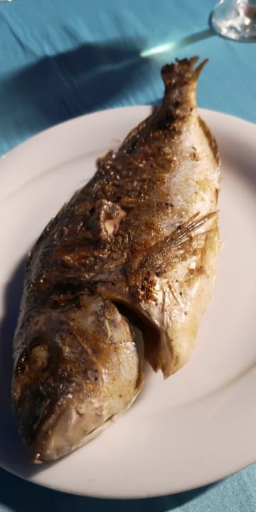 Gastro Saphir Resort & Spa