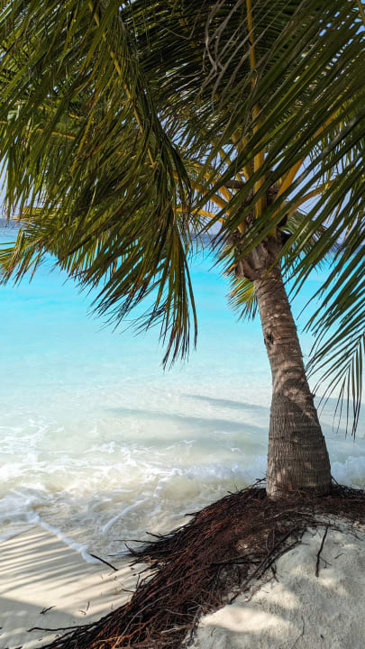 Strand Adaaran Select Meedhupparu Island Resort - Premium All Inclusive