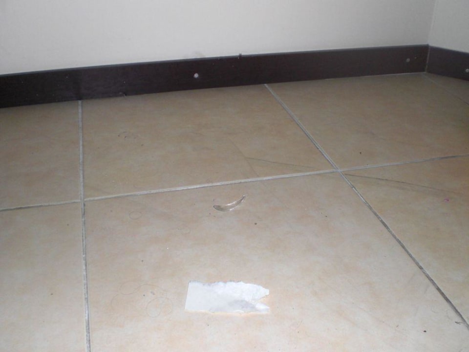 Glasscherbe im Hotelzimmer Hotel Orfeus Park