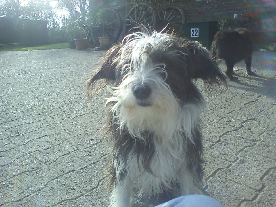 Mein hof Ferienhof Upwarf