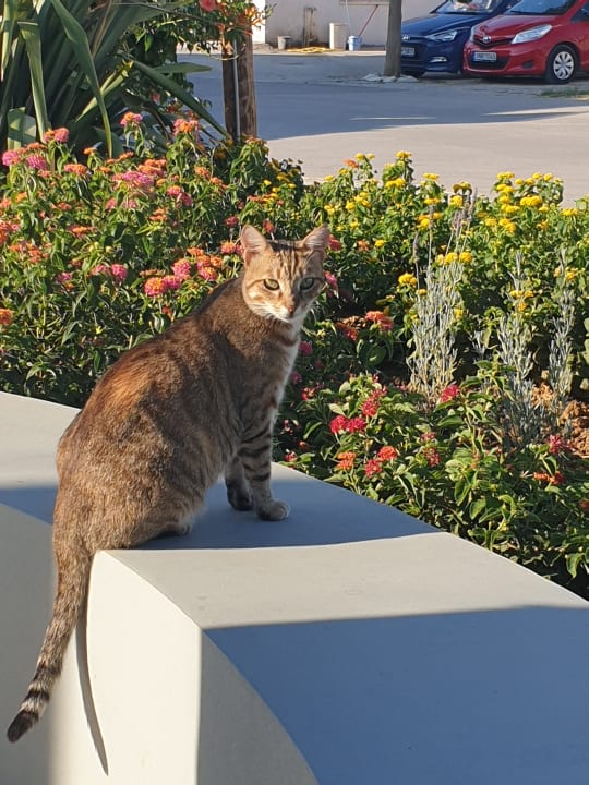 Sonstiges Harmony Boutique Resort