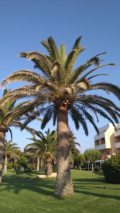 Gartenanlage Anissa Beach & Village