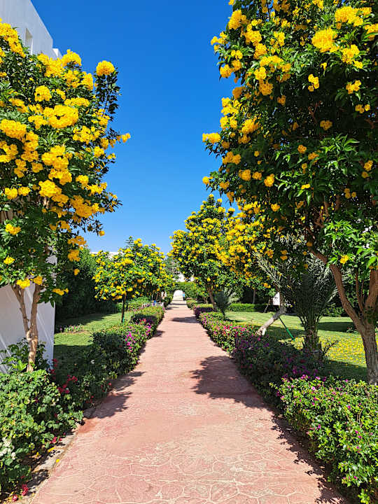 Ausblick Fantazia Resort Marsa Alam