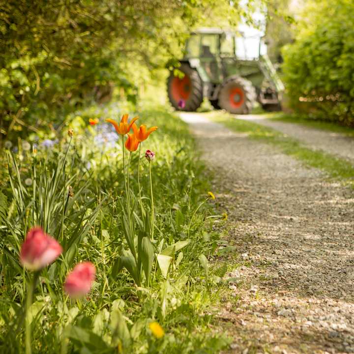 Gartenanlage Apartment Hockmannshof