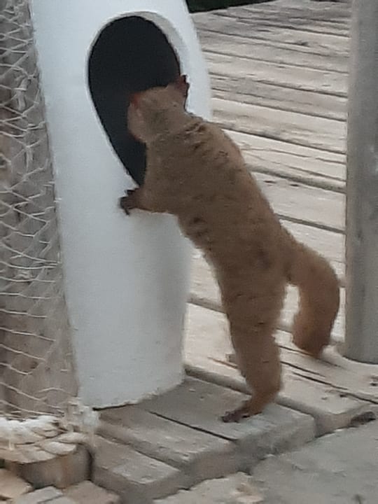 Sonstiges Reef & Beach Resort