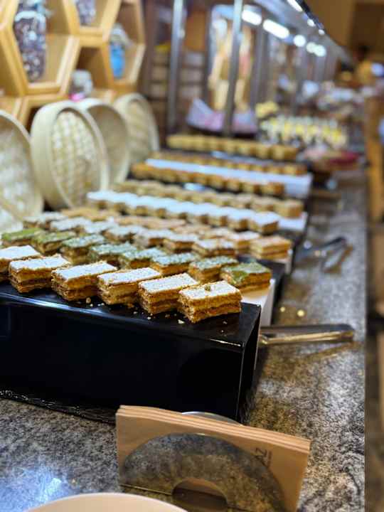 Gastro JAZ Elite Amara