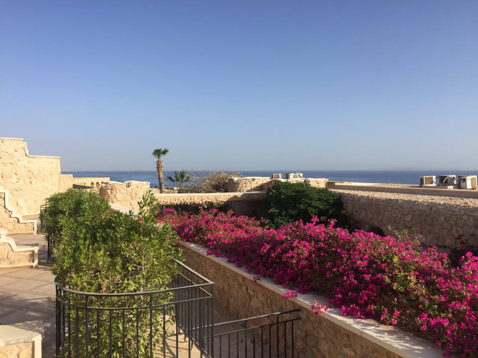 Ausblick Pickalbatros Citadel Resort