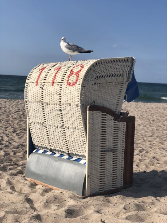 Strand Ferienwohnungen Ferienpark Weissenhäuser Strand