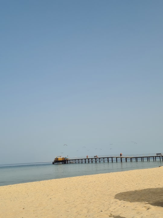 Strand Hotel Gorgonia Beach Resort