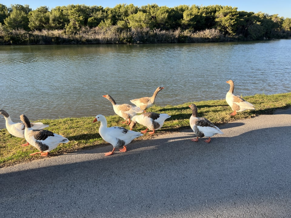 Sonstiges Titanic Deluxe Golf Belek