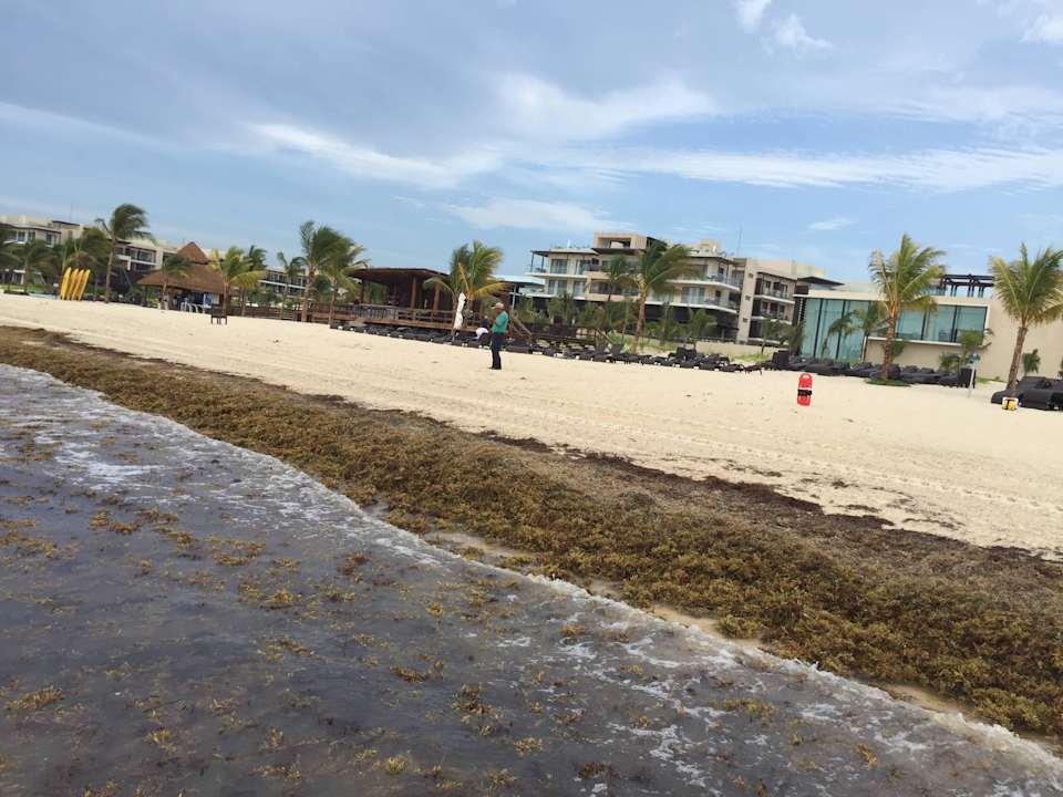 Plażna Hideaway at Royalton Riviera Cancun