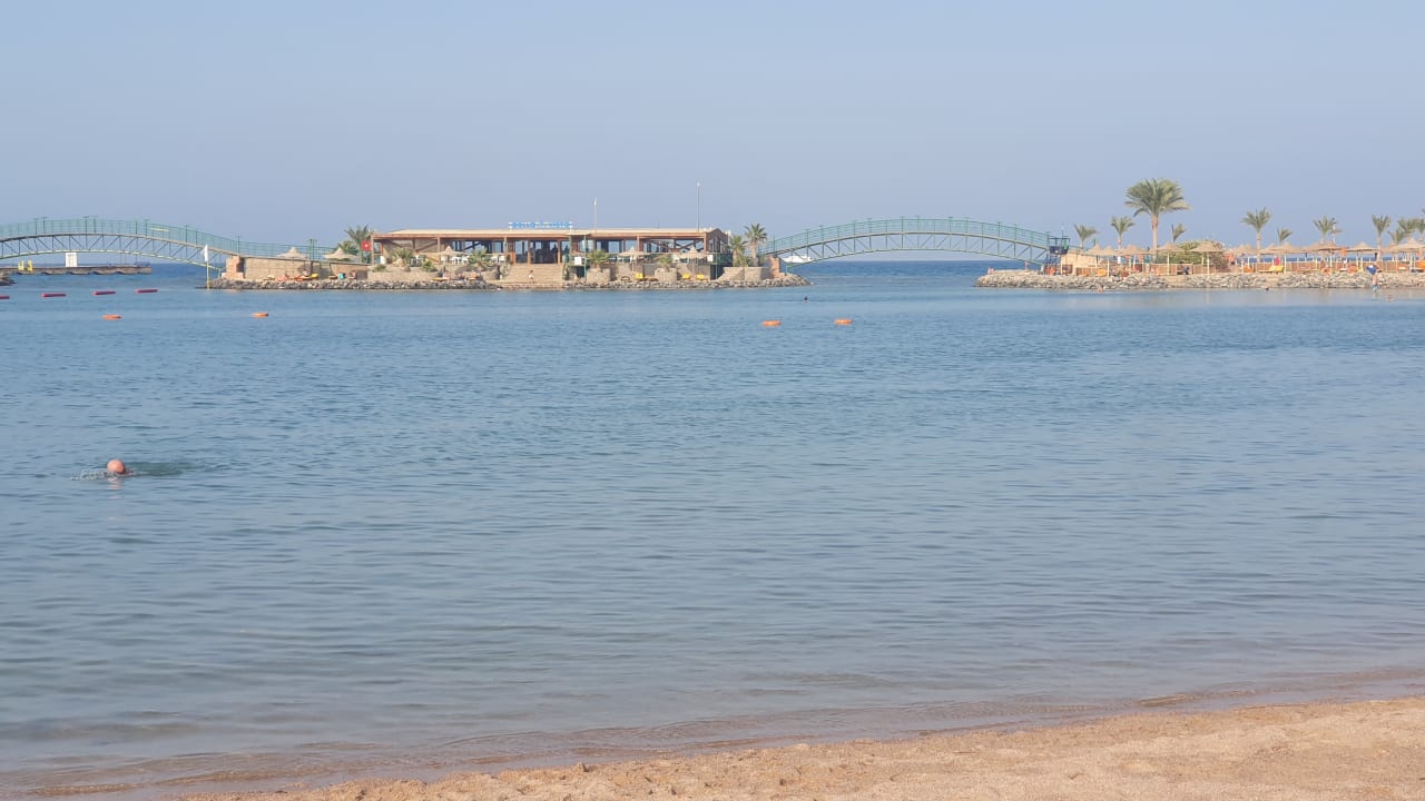 Ausblick Desert Rose