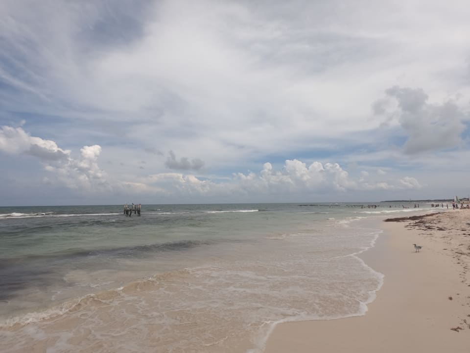 Strand Iberostar Waves Paraiso del Mar
