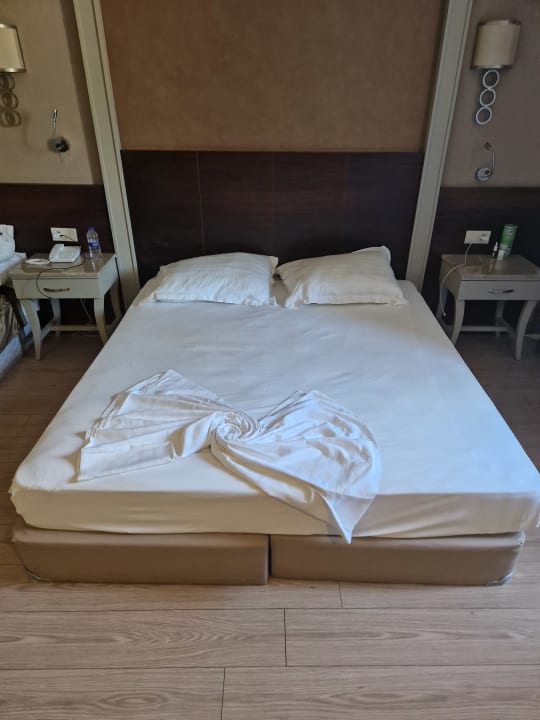 Zimmer Well Palace Side