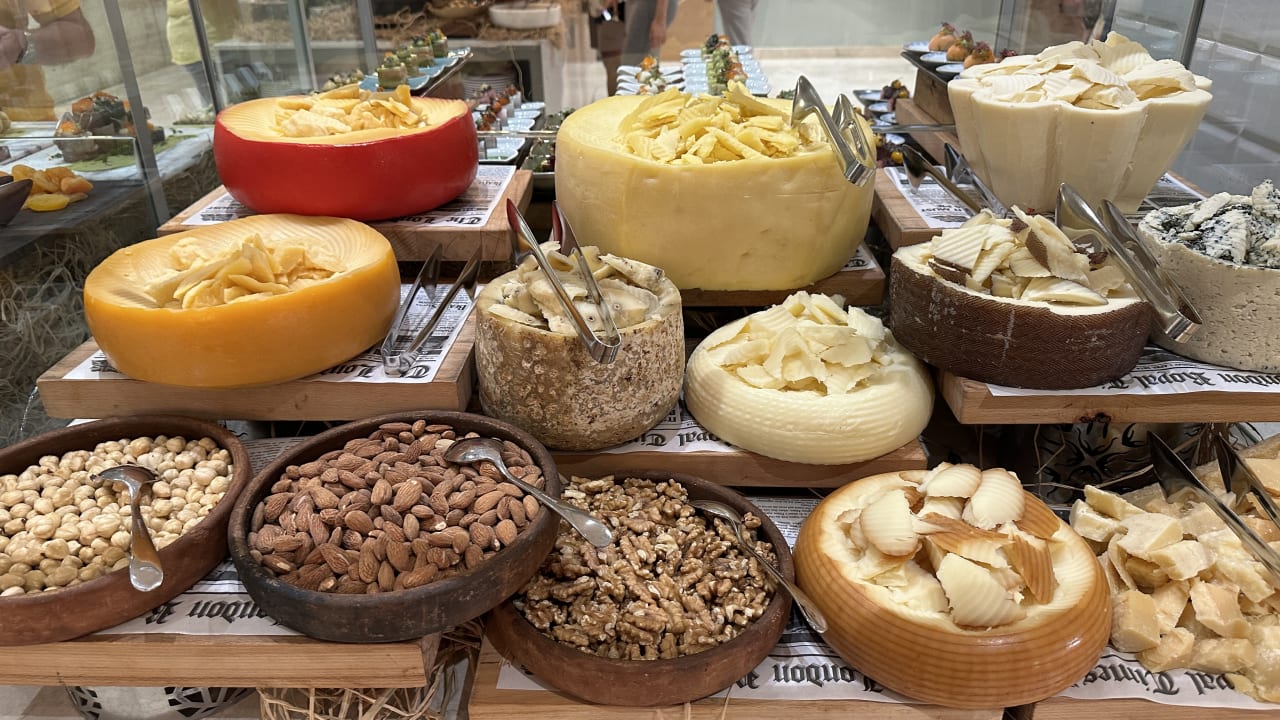 Gastro Acanthus Cennet Barut Collection