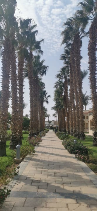 Gartenanlage Beach Albatros Resort