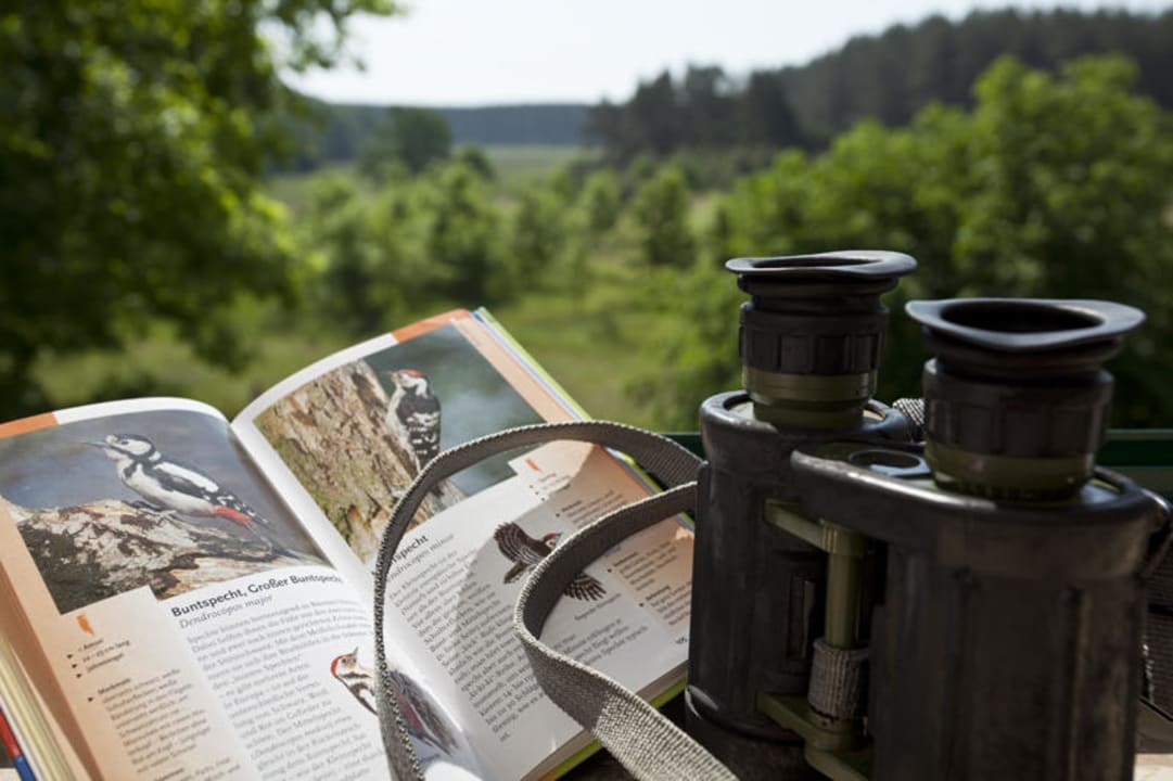 Badezimmer Nationalparkhotel Kranichrast