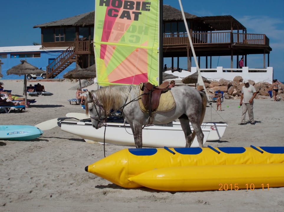 Am Strand Caribbean World Thalasso Djerba