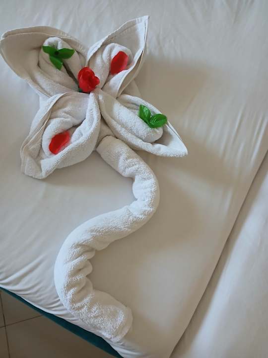 Zimmer Coral Hills Resorts & SPA