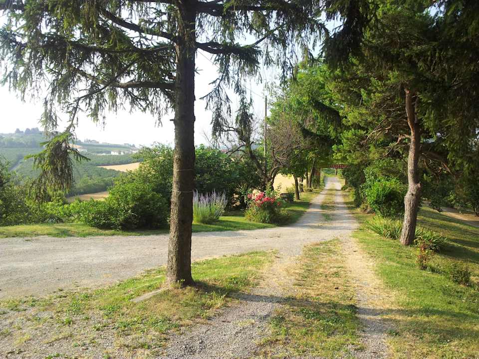 Auffahrt B&B All'ombra del Pero