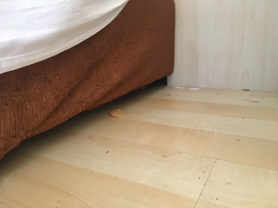 Zimmer Hotel Orfeus Park