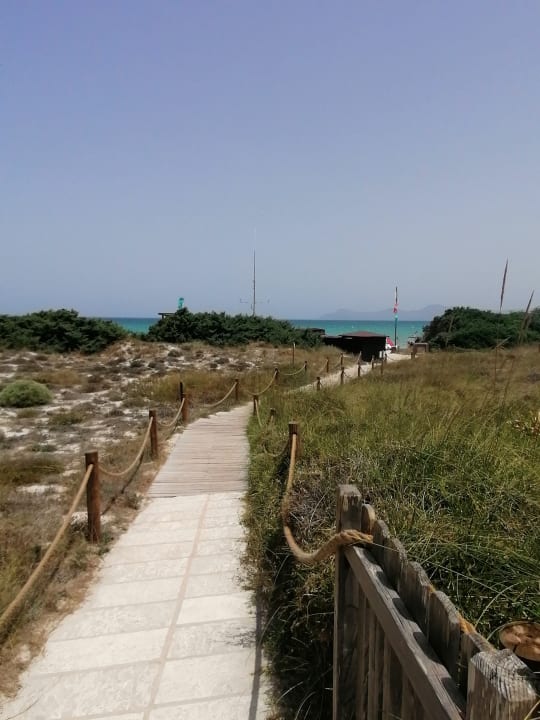 Sonstiges Zafiro Bahia