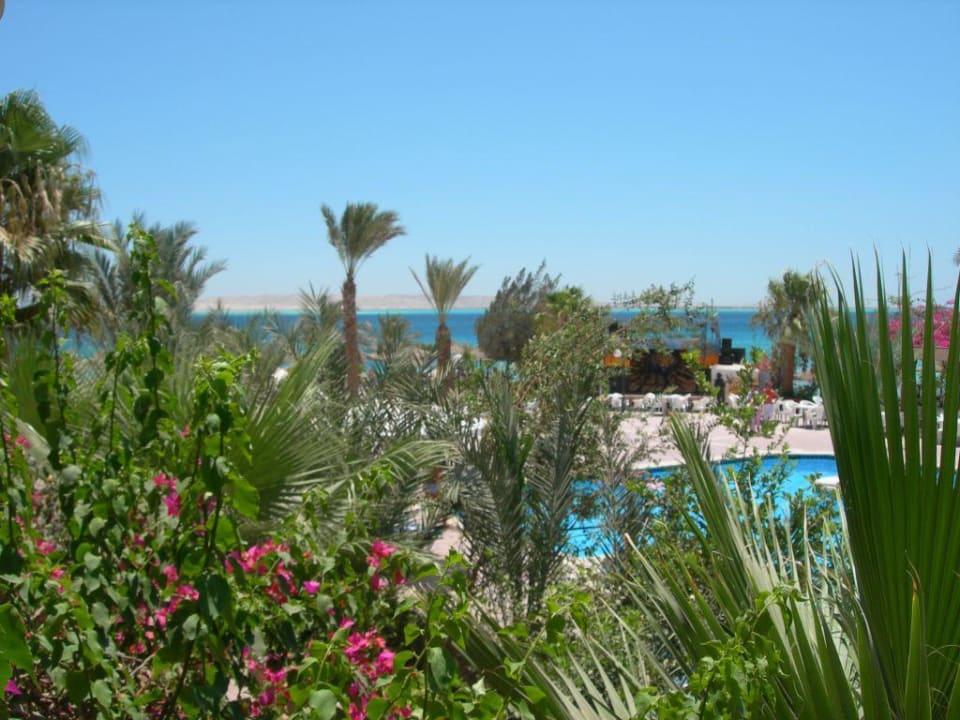 Blick vom Balkon Bella Vista Resort Hurghada