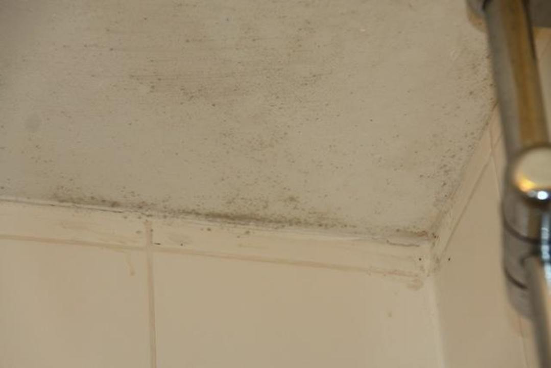 Noch mehr Dusche Hotel Euro Lodge Clapham