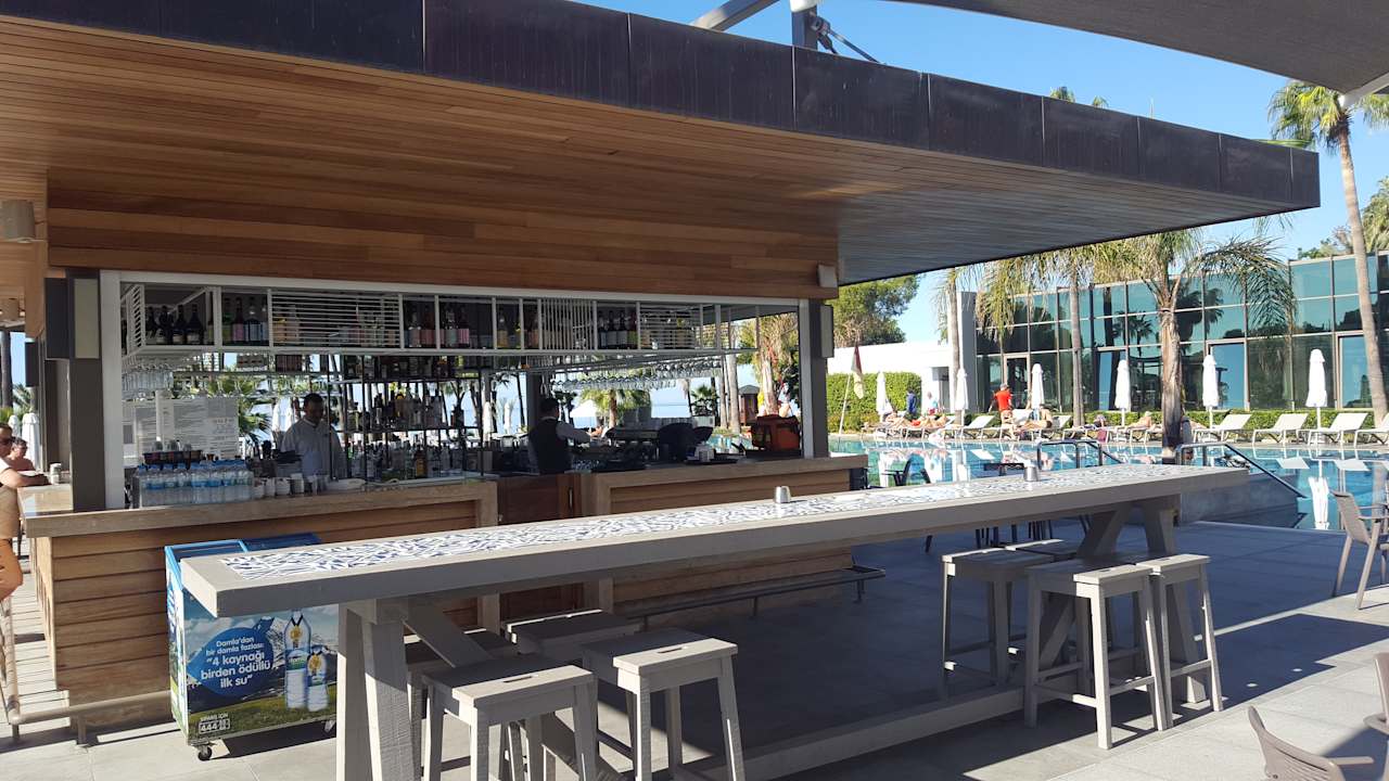 Gastro Acanthus Cennet Barut Collection