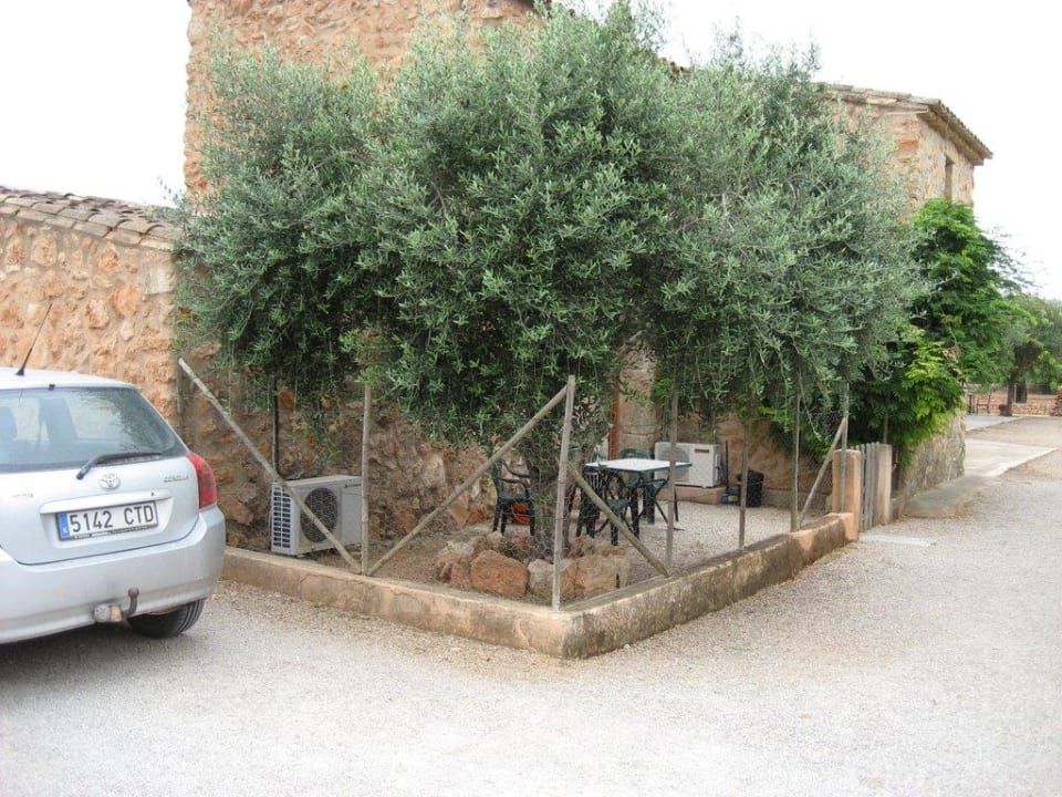 Terrasse Appartement "ElQuita" Finca Son Guardiola