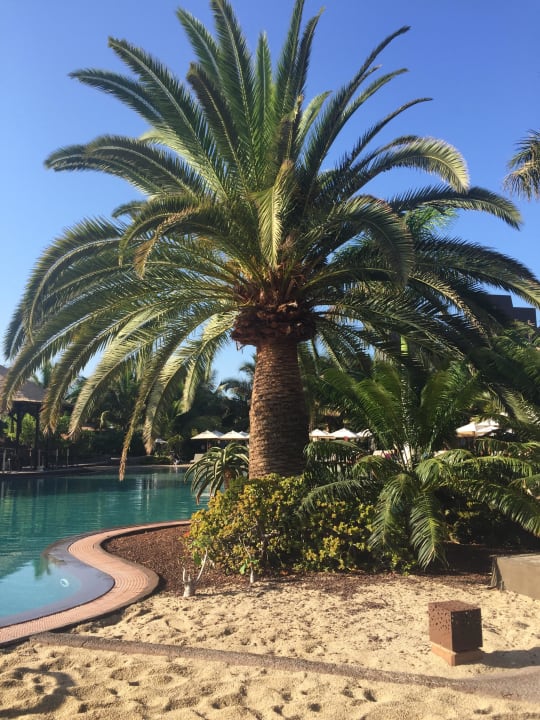 Pool Lopesan Baobab Resort