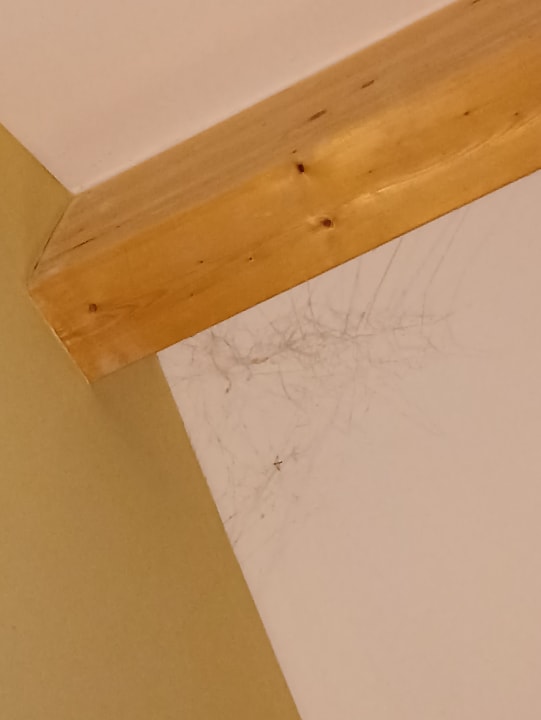 Zimmer Center Parcs Park Allgäu