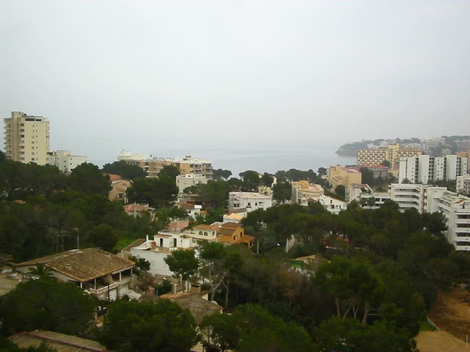 Mimosa Park - Blick vom Zimmer am frühen Morgen Globales Mimosa