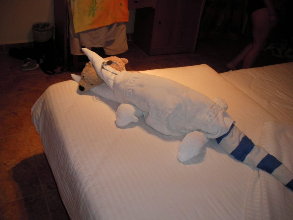 Zimmer 7003 Albatros Sharm Resort