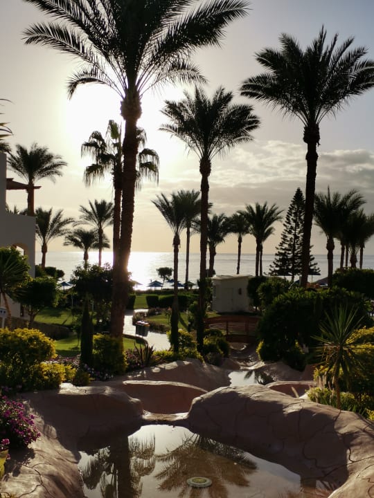 Ausblick Pickalbatros Royal Grand Resort - Sharm El Sheikh