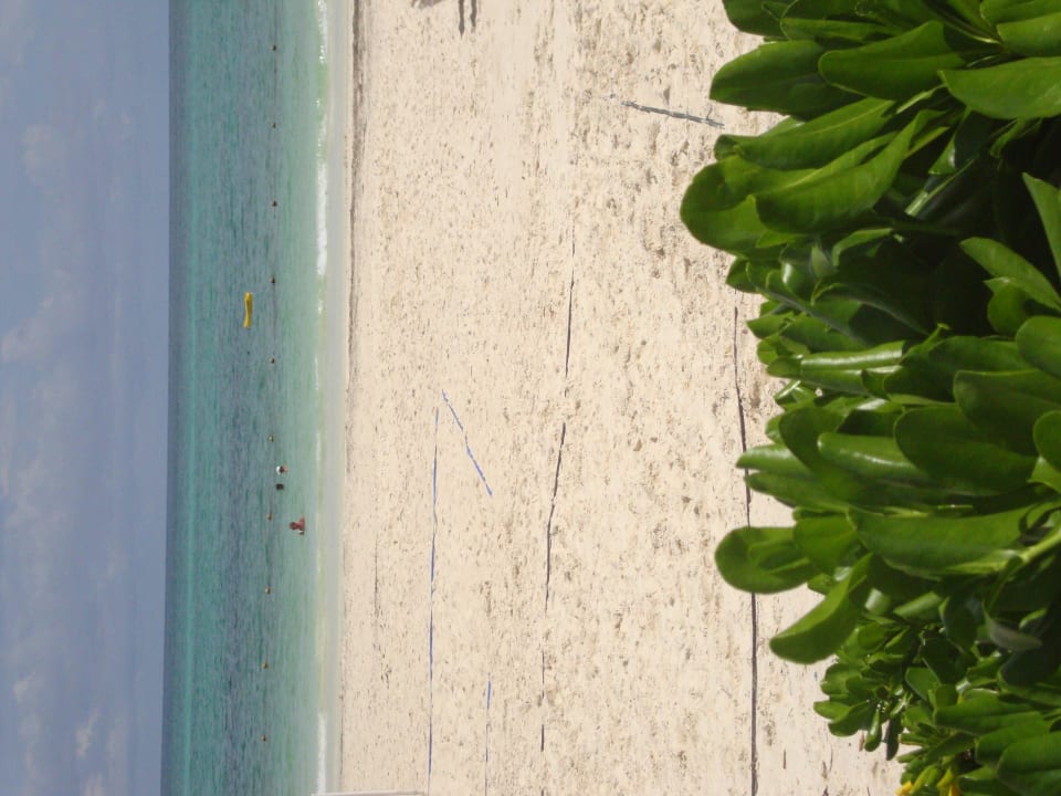 Hotel Catalonia Playa Maroma Catalonia Playa Maroma