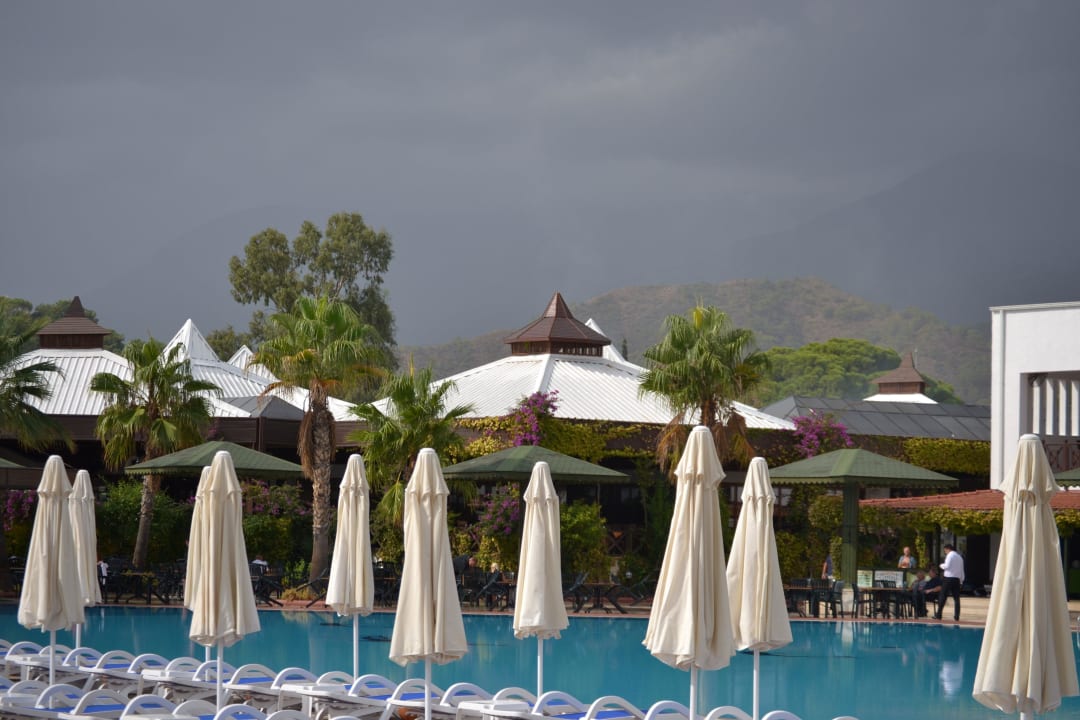 Zentralpool Emelda Sun Club