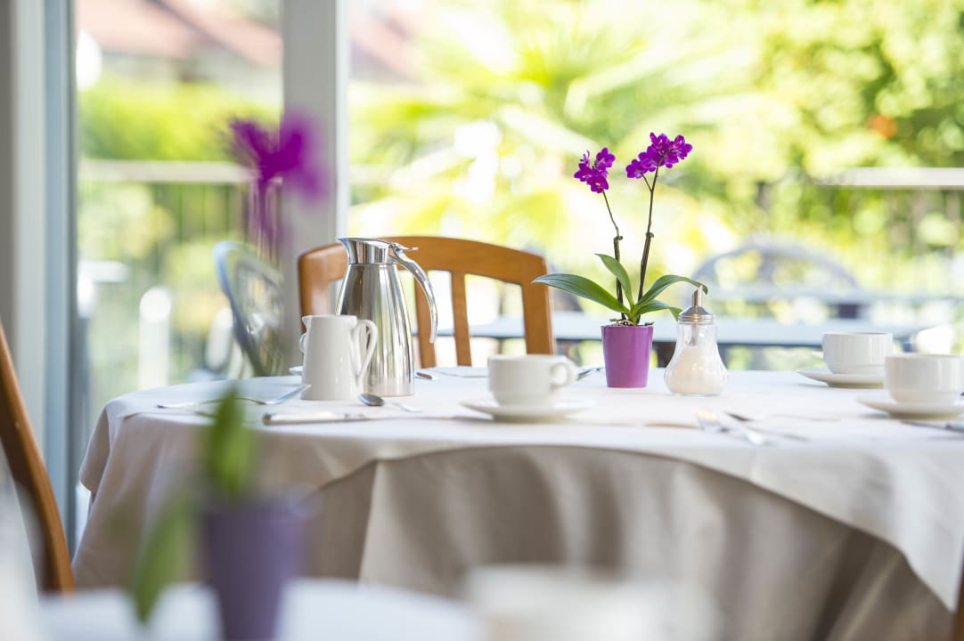 Gastro Hotel Steiner