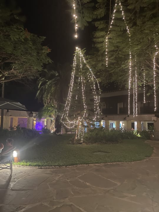 Gartenanlage Baobab Beach Resort & Spa